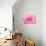 Rose Blossom, Pink, Close Up-Herbert Kehrer-Premier Image Canvas displayed on a wall