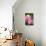 Rose, Blossoms, Bud, Medium Close-Up-Brigitte Protzel-Premier Image Canvas displayed on a wall