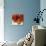 Rose Bouquet I-Nicole Katano-Stretched Canvas displayed on a wall