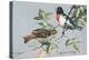 Rose-Breasted Grosbeaks-null-Stretched Canvas