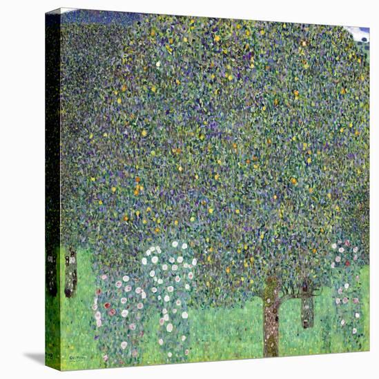 Rose Bushes under the Trees, C. 1905-Gustav Klimt-Premier Image Canvas