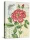 Rose Collage-Pamela Gladding-Stretched Canvas