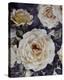 Rose Dream II-Collezione Botanica-Stretched Canvas