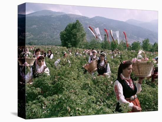 Rose Festival, Bulgaria-Adam Woolfitt-Premier Image Canvas