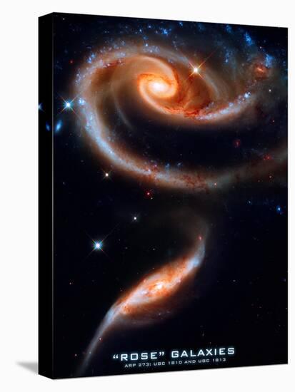 Rose Galaxies Hubble Space Photo Poster Print-null-Stretched Canvas