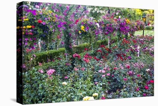 Rose Garden at Butchard Gardens in Full Bloom, Victoria, British Columbia, Canada-Terry Eggers-Premier Image Canvas