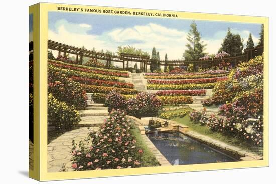 Rose Garden, Berkeley, California-null-Stretched Canvas