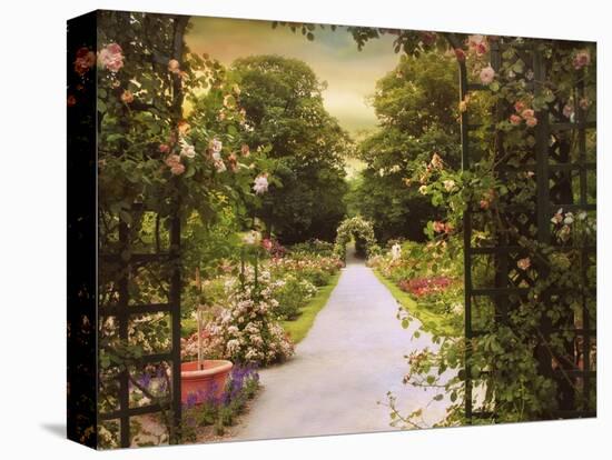 Rose Garden Gate-Jessica Jenney-Premier Image Canvas