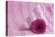 Rose Gerbera Blossom with Heart Made of Fabric-Andrea Haase-Premier Image Canvas