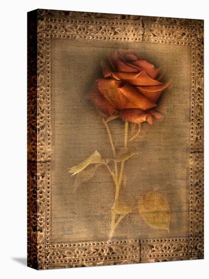 Rose on Fabric-Robert Cattan-Premier Image Canvas