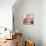 Rose Petals I-Nicole Katano-Stretched Canvas displayed on a wall