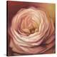 Rose Portrait-Lisa Audit-Stretched Canvas