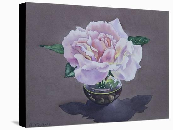 Rose Portrait-Christopher Ryland-Premier Image Canvas