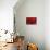 Rose Red-Danny Burk-Stretched Canvas displayed on a wall