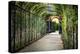 Rose Trellis In Schonbrunn Palace-George Oze-Premier Image Canvas