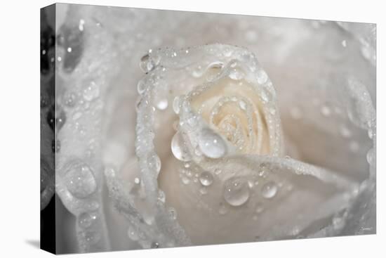 Rose-Gordon Semmens-Premier Image Canvas