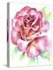 Rose-Michelle Faber-Premier Image Canvas