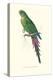 Roseate Parakeet - Polytelis Swainsoni-Edward Lear-Stretched Canvas