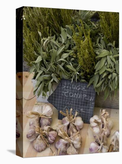 Rosemary and Garlic, Moustiers-Sainte-Marie, Provence, France-Sergio Pitamitz-Premier Image Canvas