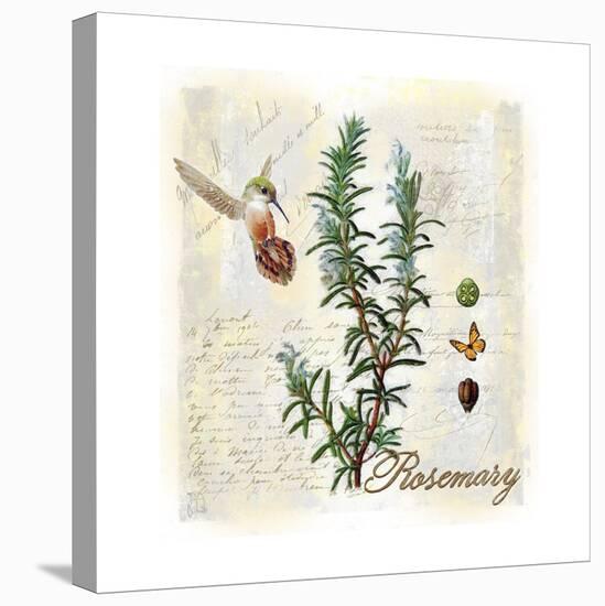 Rosemary Herb-Tina Lavoie-Premier Image Canvas