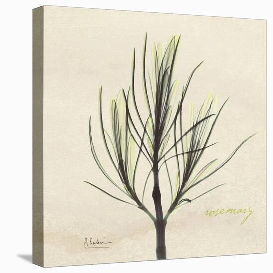 Rosemary Moment-Albert Koetsier-Stretched Canvas