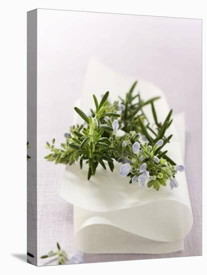 Rosemary with Flowers on White Cloth-null-Premier Image Canvas