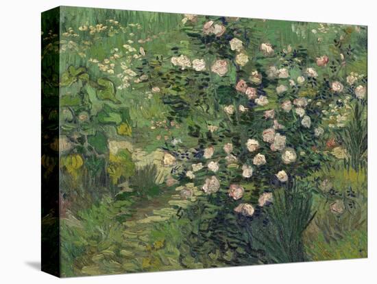 Roses, 1889-Vincent van Gogh-Premier Image Canvas