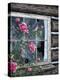 Roses and Bluebirds-Jeff Tift-Premier Image Canvas