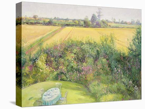 Roses and Cornfield-Timothy Easton-Premier Image Canvas