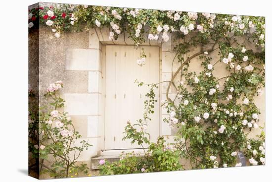 Roses Cover a House in the Village of Chedigny, Indre-Et-Loire, Centre, France, Europe-Julian Elliott-Premier Image Canvas