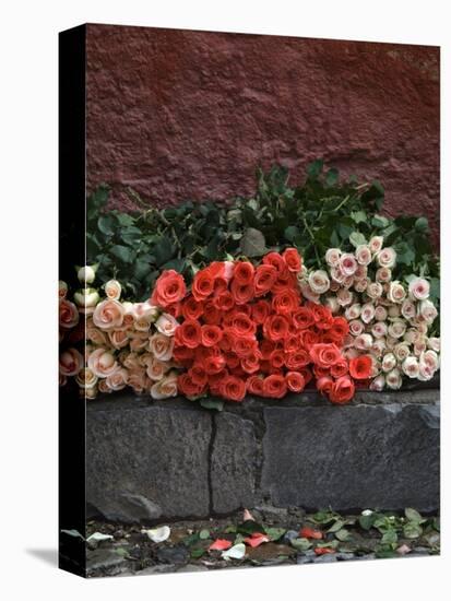 Roses for Sale on Street, San Miguel De Allende, Mexico-Nancy Rotenberg-Premier Image Canvas