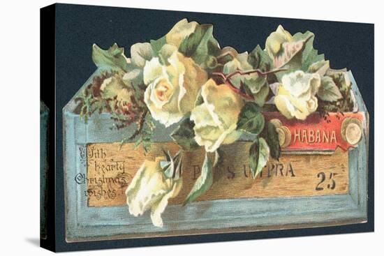 Roses in Cigar Box, Christmas Card-English School-Premier Image Canvas