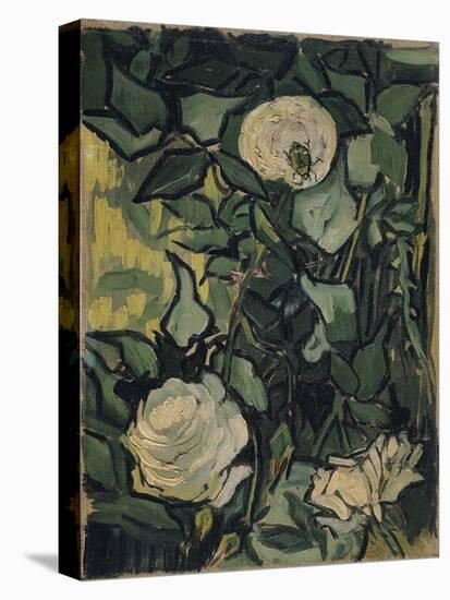 Roses  Peinture De Vincent Van Gogh (1853-1890) 1890 Van Gogh Museum, Amsterdam-Vincent van Gogh-Premier Image Canvas