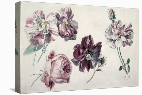 Roses-Sir Lawrence Alma-Tadema-Premier Image Canvas