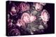 Roses-Philippe Sainte-Laudy-Premier Image Canvas