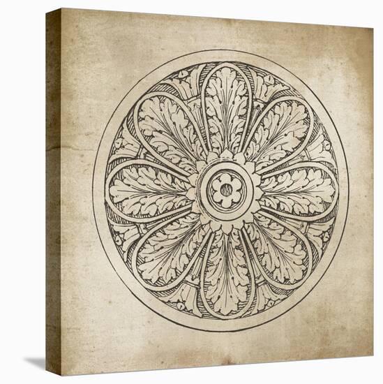 Rosette VIII Neutral-Wild Apple Portfolio-Stretched Canvas