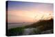 Rosey Sunset I-Alan Hausenflock-Premier Image Canvas
