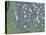 Rosiers sous les arbres-Gustav Klimt-Premier Image Canvas