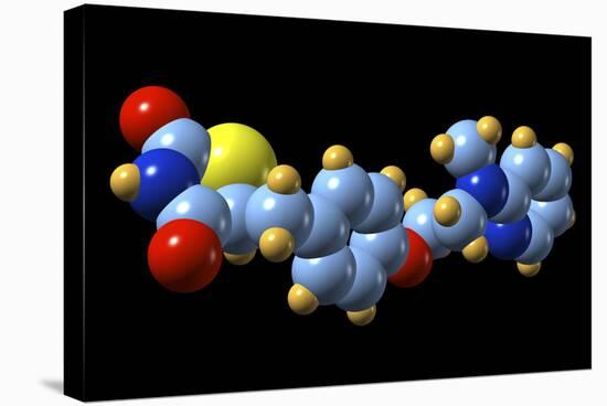 Rosiglitazone Diabetes Drug Molecule-Dr. Mark J.-Premier Image Canvas