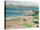 Ross of Mull from Traigh Mhor, Iona-Francis Campbell Boileau Cadell-Premier Image Canvas