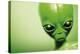 Roswell Alien-Detlev Van Ravenswaay-Premier Image Canvas