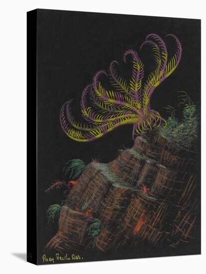 Rosy Feather Star-Philip Henry Gosse-Premier Image Canvas