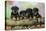 Rottweiler Puppies in a Row Looking over Log-null-Premier Image Canvas