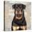 Rottweiler-Keri Rodgers-Stretched Canvas