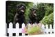 Rottweilers Looking over Fence-null-Premier Image Canvas