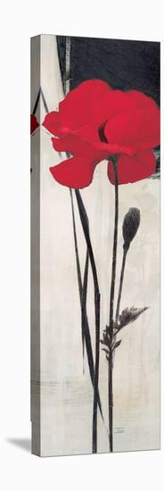 Rouge Floral 2-Ivo-Stretched Canvas