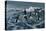 Rough Day on the Bay - Oldsquaw Ducks-Wilhelm Goebel-Premier Image Canvas