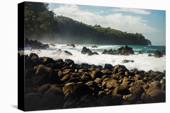 Rough seas off the coast of Laupahoehoe, Big Island, Hawaii-Mark A Johnson-Premier Image Canvas