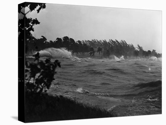 Rough Water and Blowing Palm Trees-Philip Gendreau-Premier Image Canvas
