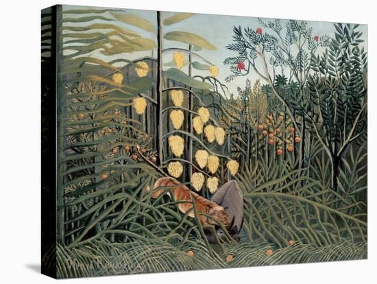 Rousseau's Jungle II-Henri Rousseau-Stretched Canvas